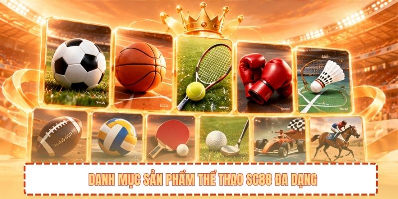 Danh mục sản phẩm thể thao SC88 đa dạng